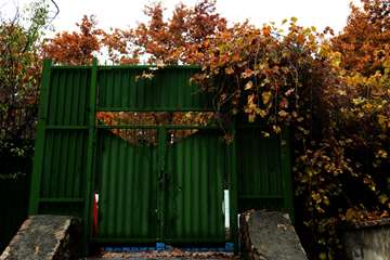 پاییز در دانشگاه علوم بهزیستی و توانبخشی